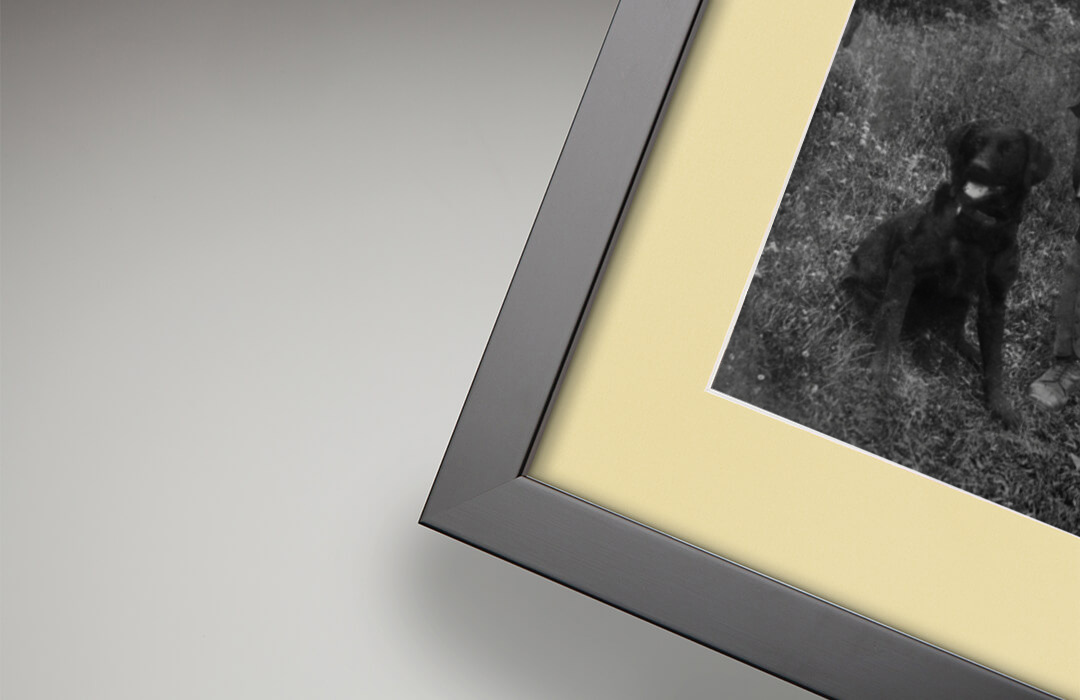Ivory mount detail with restored photograph