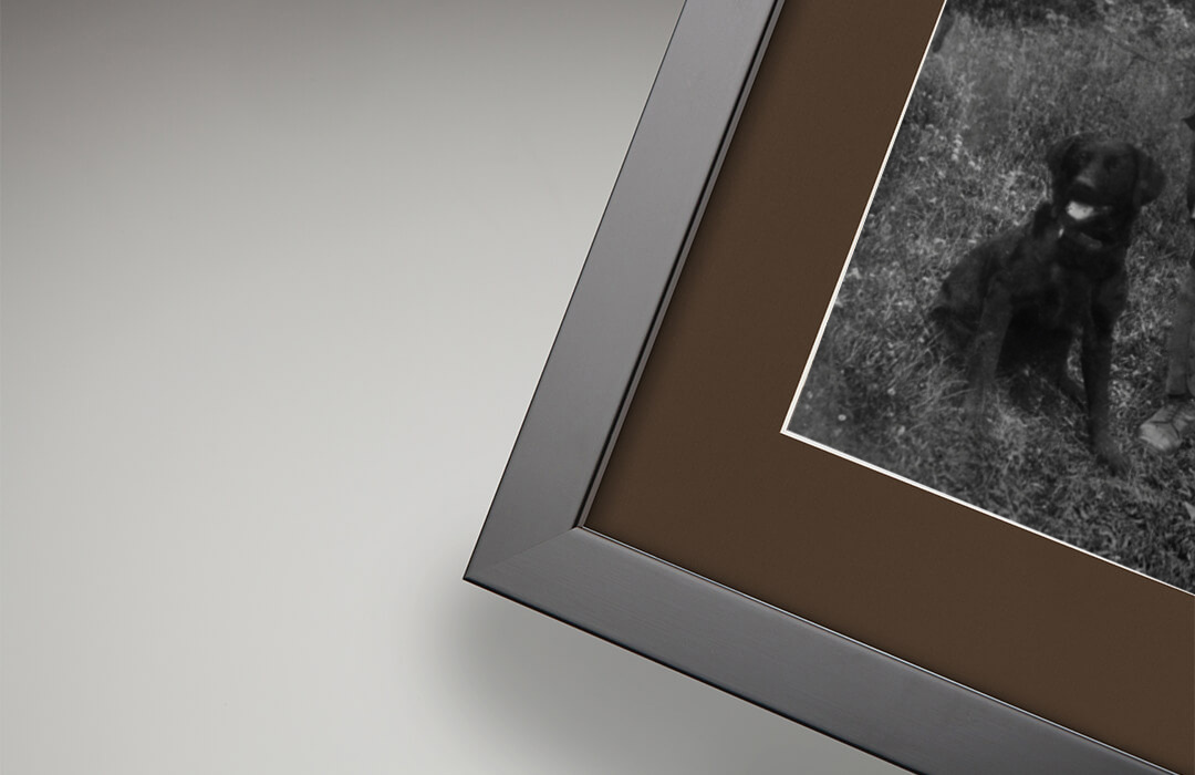 Seal Brown mount detail with restored photograph